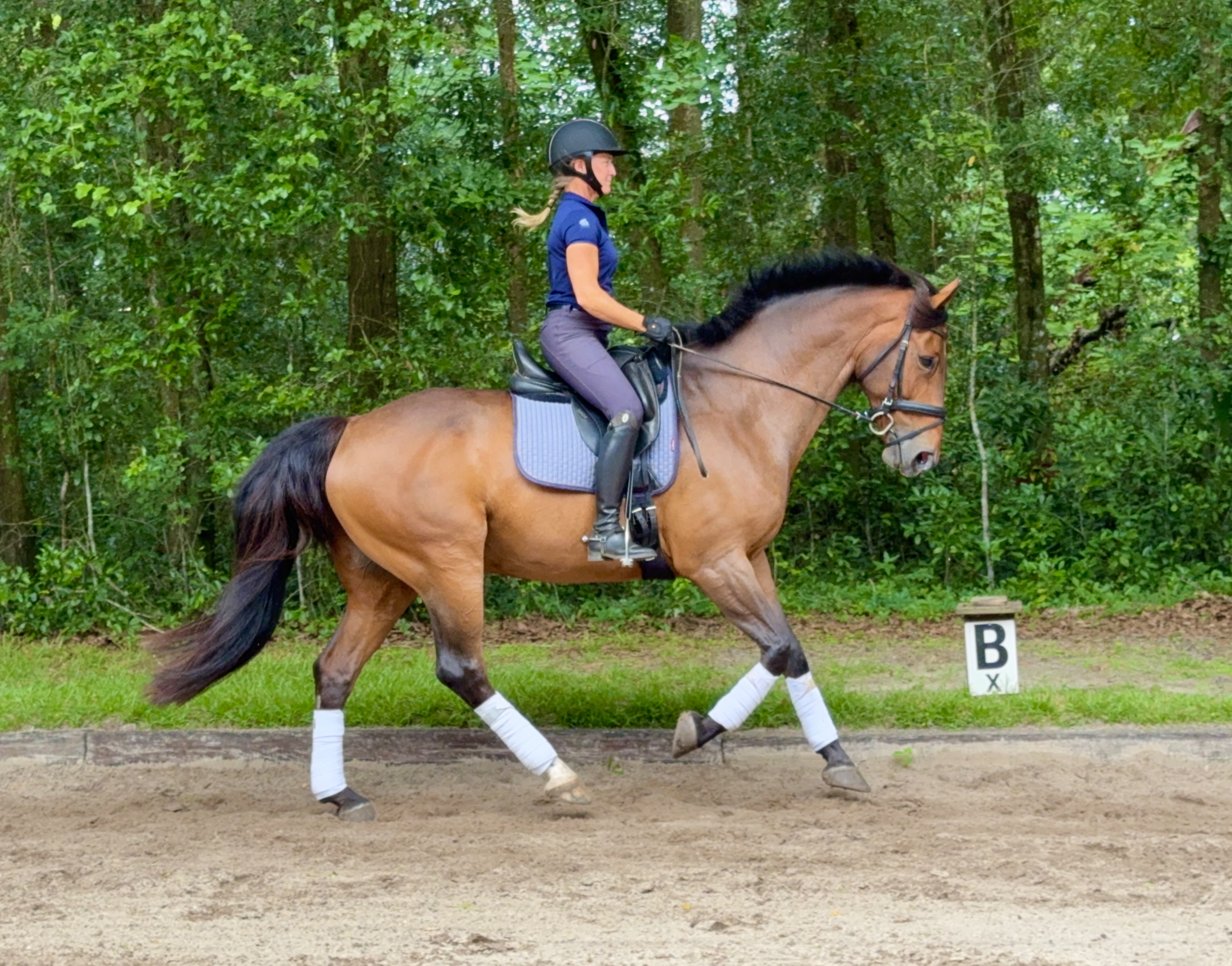 Fernhill in Motion