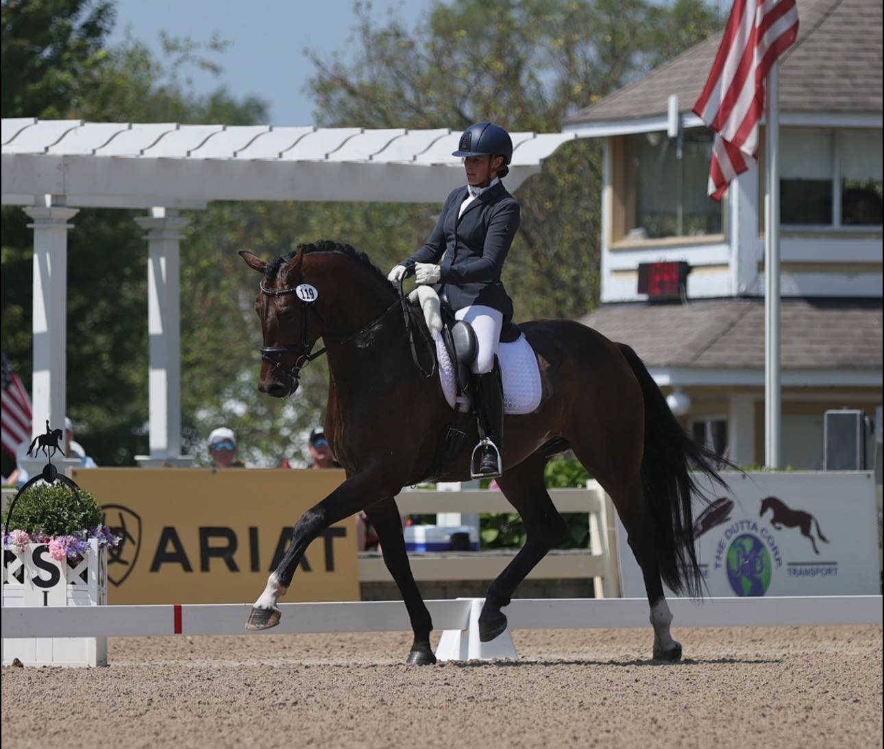 JJ Fellini at avodressage.com