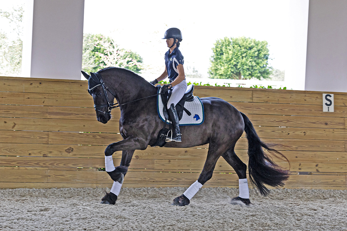Renata ISF